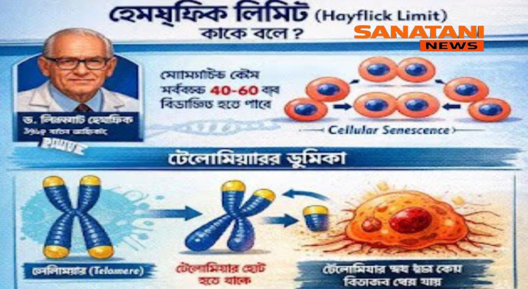 কেন আমরা অবিনশ্বর নই?মৃত্যুঞ্জয়ী রহস্য:-